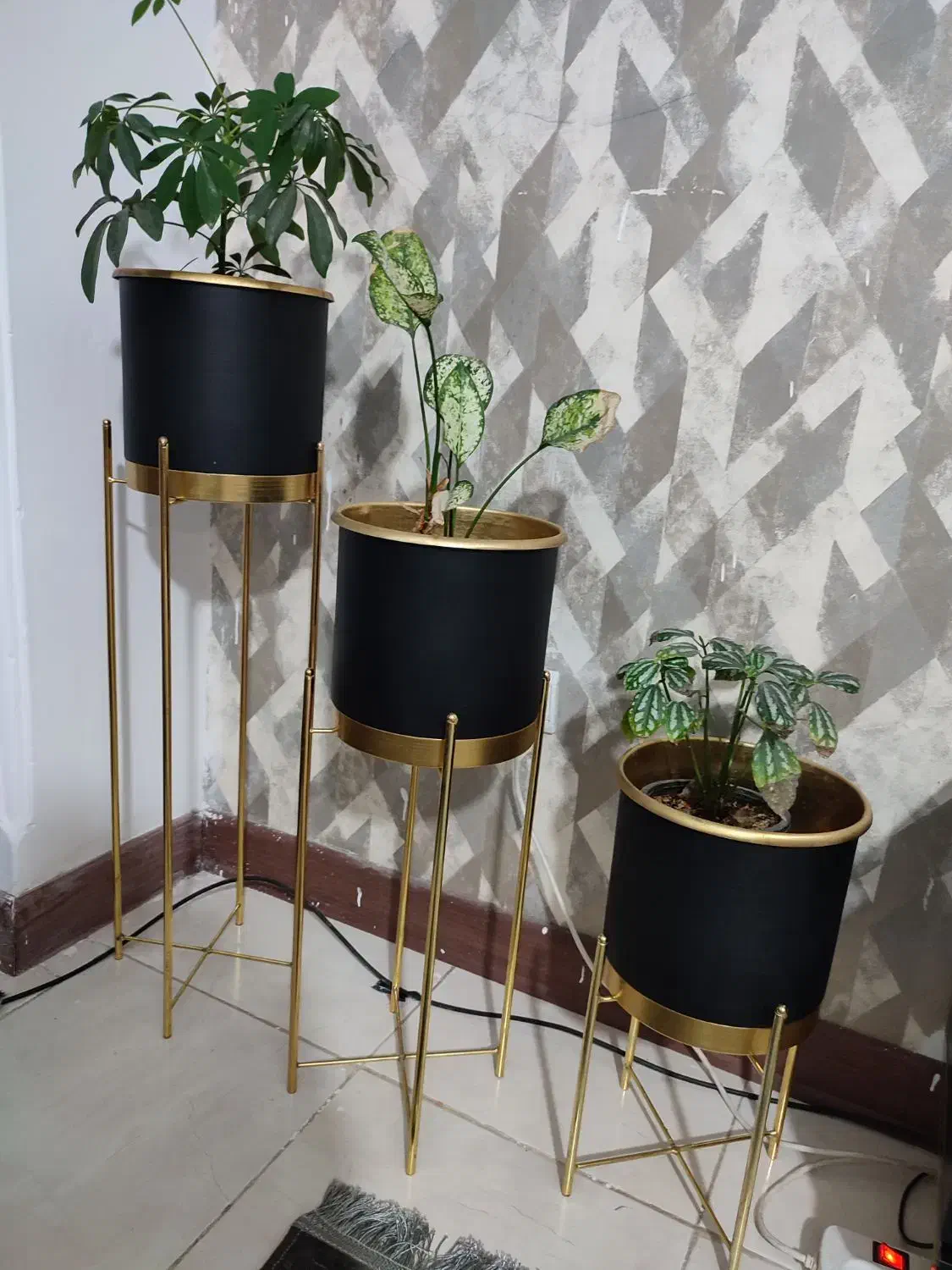 گلدان به همراه گل|گل و گیاه طبیعی|گرگان, |دیوار