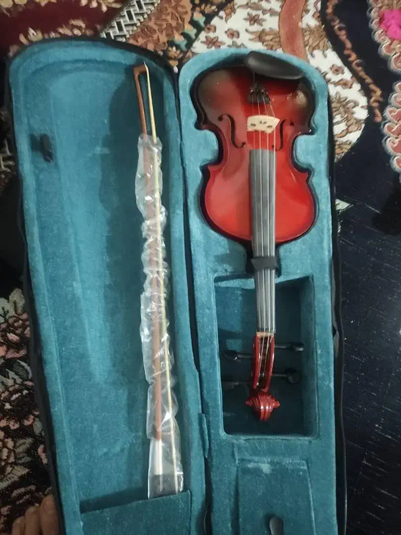 ویولن اک بند|ویولن|شوش, |دیوار