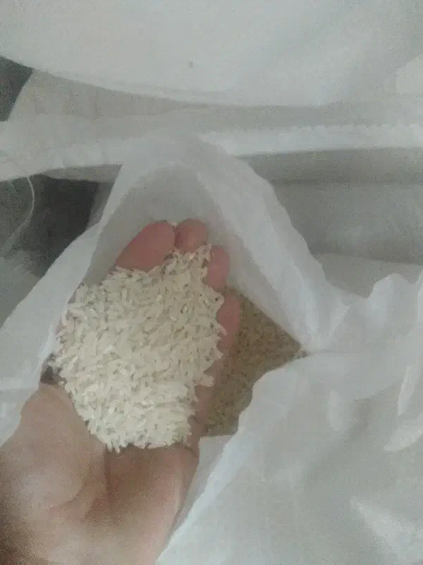 برنج هاشمی سورتینگ زده|خوردنی و آشامیدنی|لنگرود, |دیوار