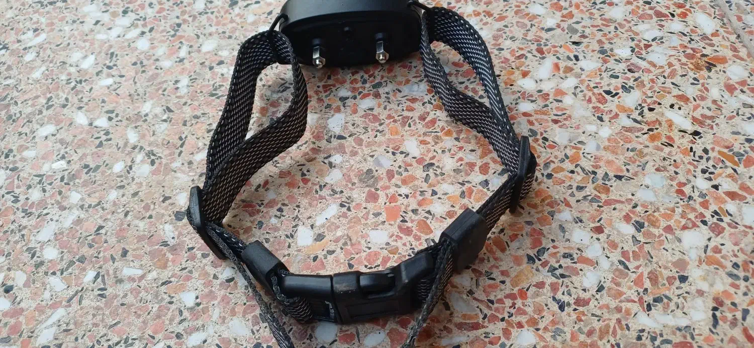 قلاده ضد واق|لوازم جانبی حیوانات|تهران, مختاری|دیوار