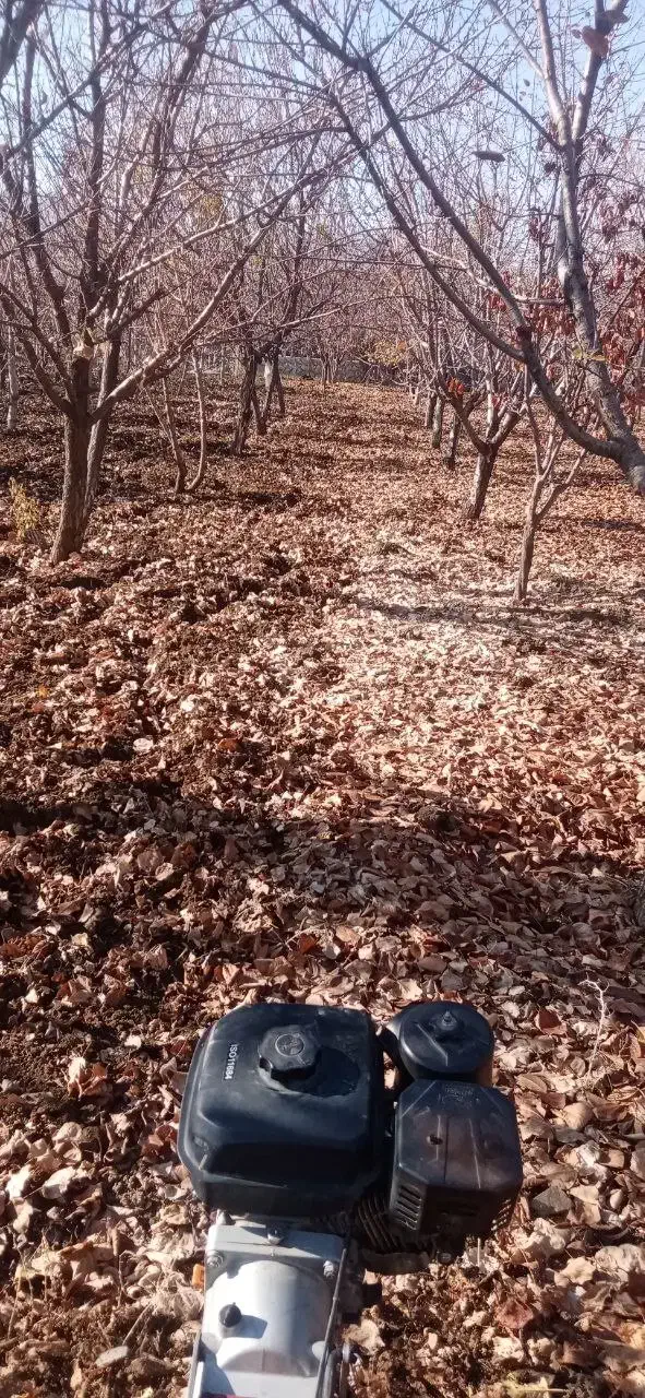 کار با تیلر|خدمات باغبانی و درختکاری|مریوان, |دیوار