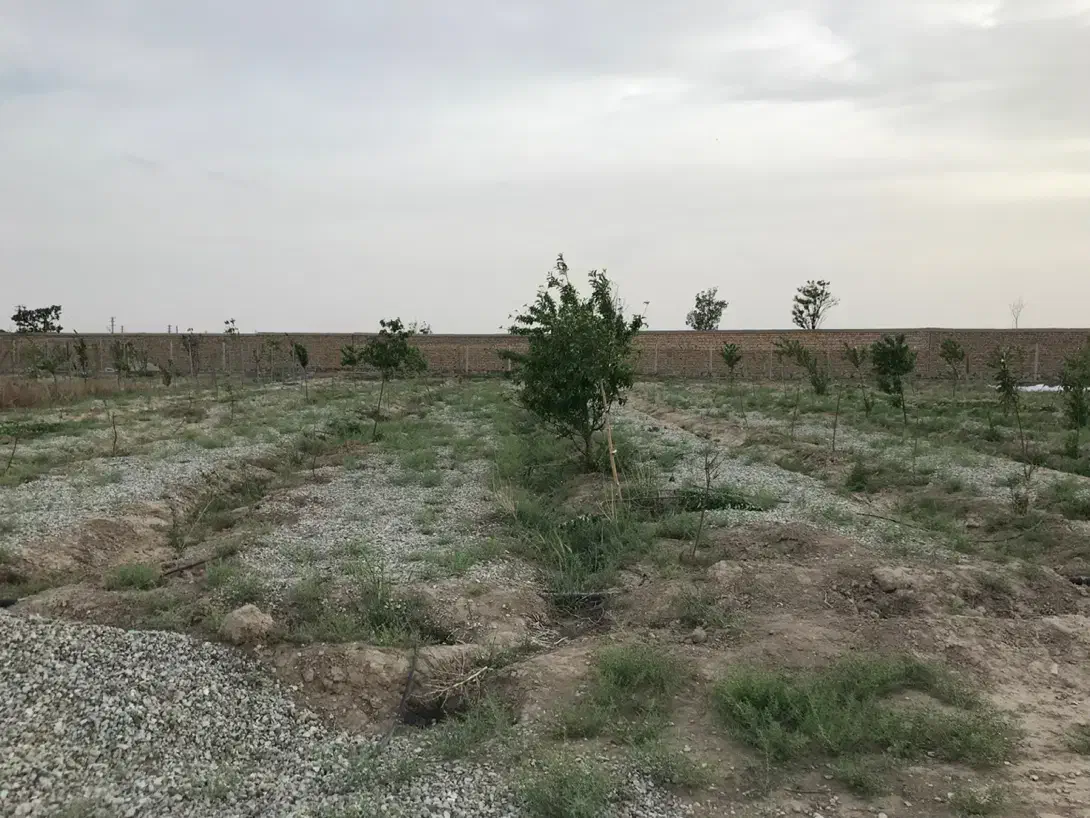 فروش زمین باغی در حسن اباد . وهن اباد|فروش زمین و ملک کلنگی|فشاپویه, |دیوار