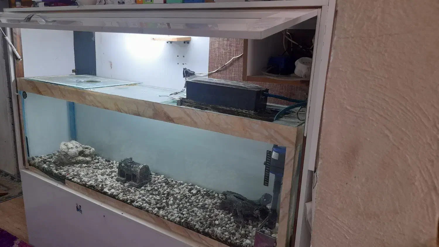 آکواریوم فروشی  ماهی|ماهی|رفسنجان, |دیوار