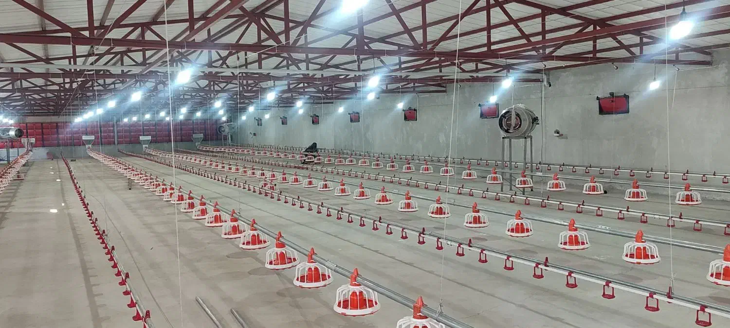 نیازمند سالندار|استخدام صنعتی، فنی، مهندسی|آق قلا, |دیوار