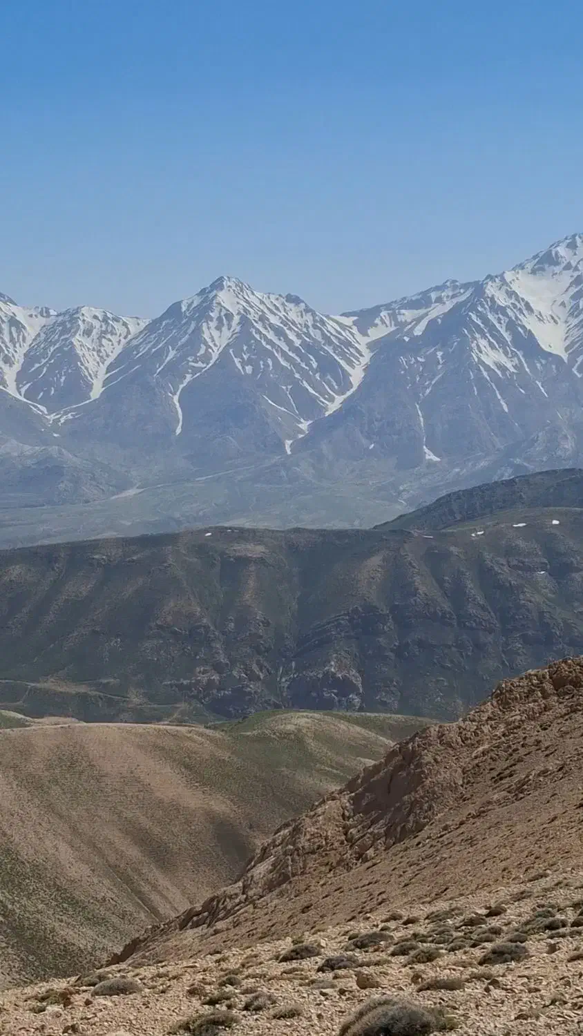 کود گوسفندی|خدمات باغبانی و درختکاری|کوهرنگ, |دیوار