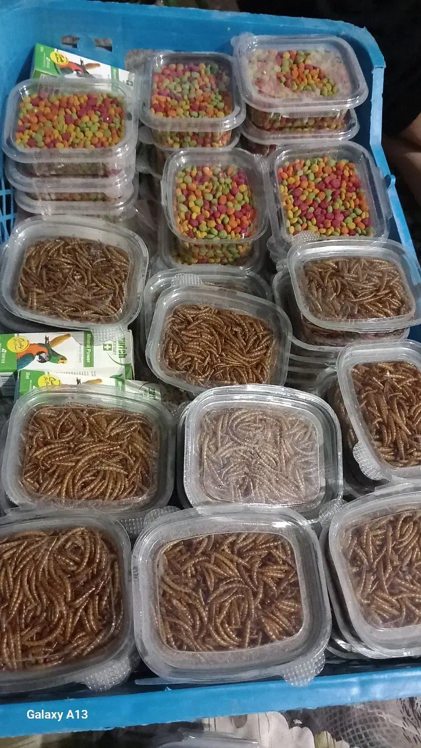 وسایل پرنده|لوازم جانبی حیوانات|تالش, تالش|دیوار