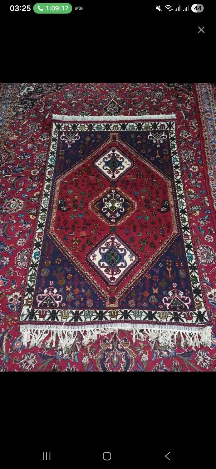 قالیچه دستبافت|فرش|شیراز, آبیاری|دیوار