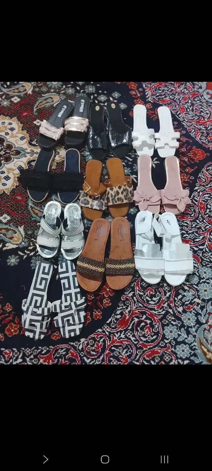 دمپایی|کیف، کفش، کمربند|بندرعباس, |دیوار