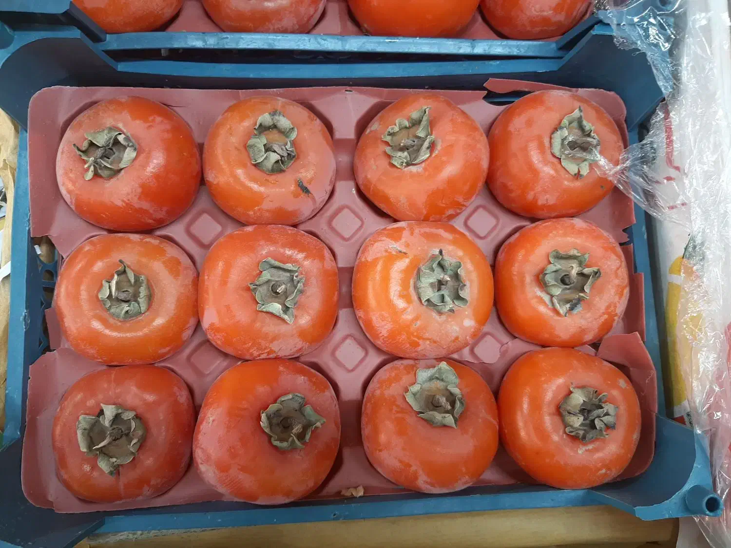 نیازمند کارگر میوه فروشی ماهر|استخدام خدمات فروشگاه و رستوران|قم, پردیسان|دیوار