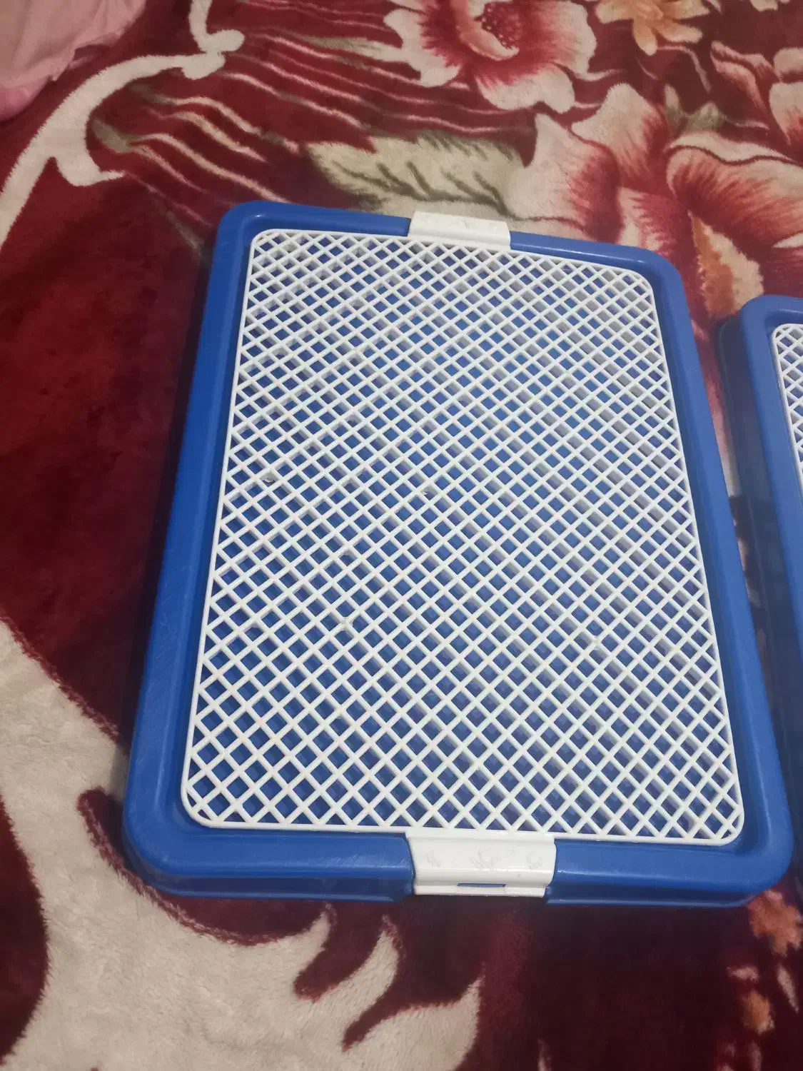 سینی ادرار سگ|لوازم جانبی حیوانات|پاکدشت, پاکدشت (مامازند)|دیوار