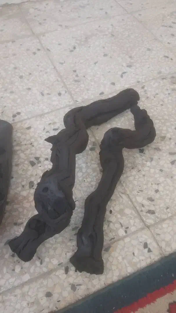 ذغال رز انگوی|عمدهفروشی|شیراز, عادل آباد|دیوار