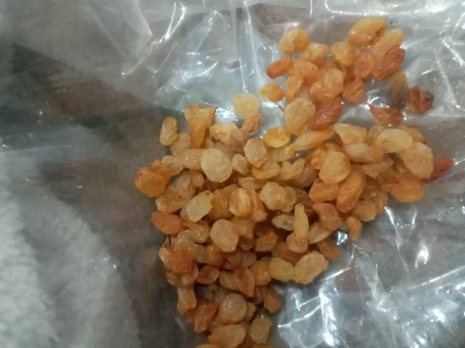 کشمش پلویی لوکس|خوردنی و آشامیدنی|مشهد, دریادل|دیوار