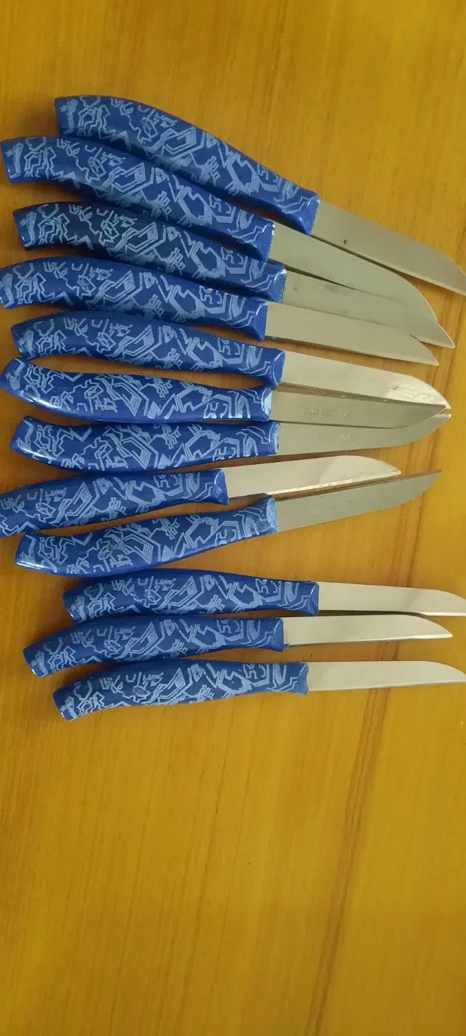 چاقو میوه خوری|ظروف سرو و پذیرایی|تهران, زرکش|دیوار