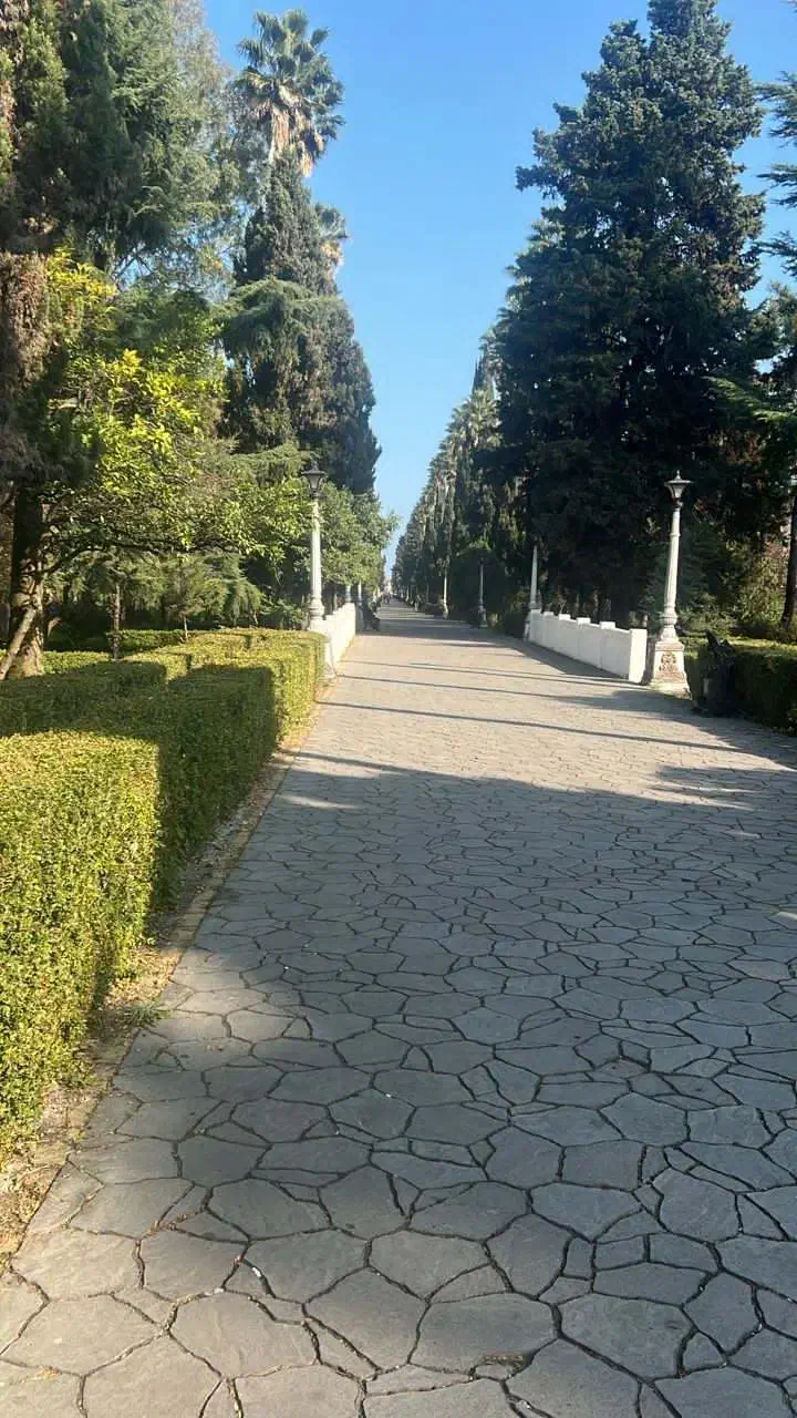 پیاده روی|فعالیت داوطلبانه|رامسر, |دیوار