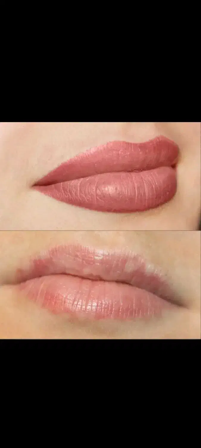 حرفه ای تتو بدن میکرو ابرو شیدینگ لب اکستشن مو|خدمات آرایشگری و زیبایی|تهران, مجیدیه|دیوار