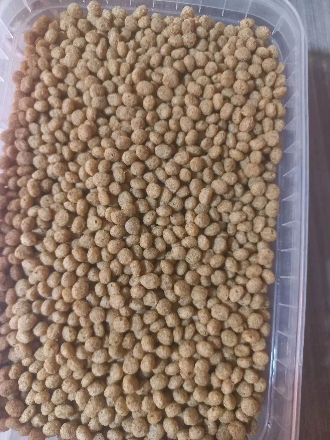 پلت طوطی|لوازم جانبی حیوانات|محمدیه-قزوین, |دیوار