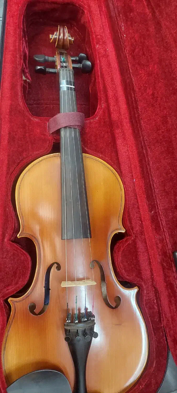 ویولون3/4 tf|ویولن|یزد, |دیوار