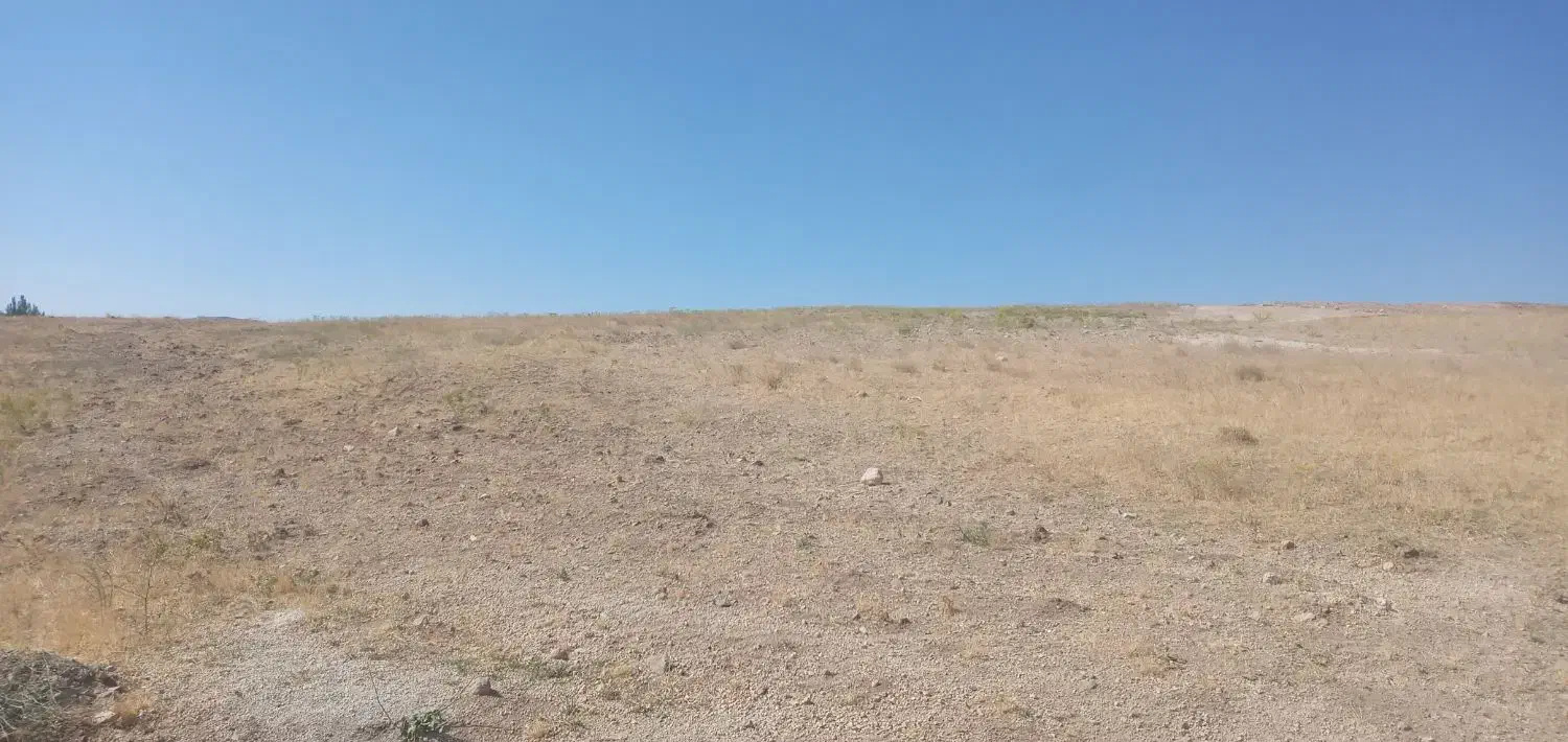 زمین زراعی|فروش دفتر صنعتی، کشاورزی، تجاری|تیکمه داش, |دیوار