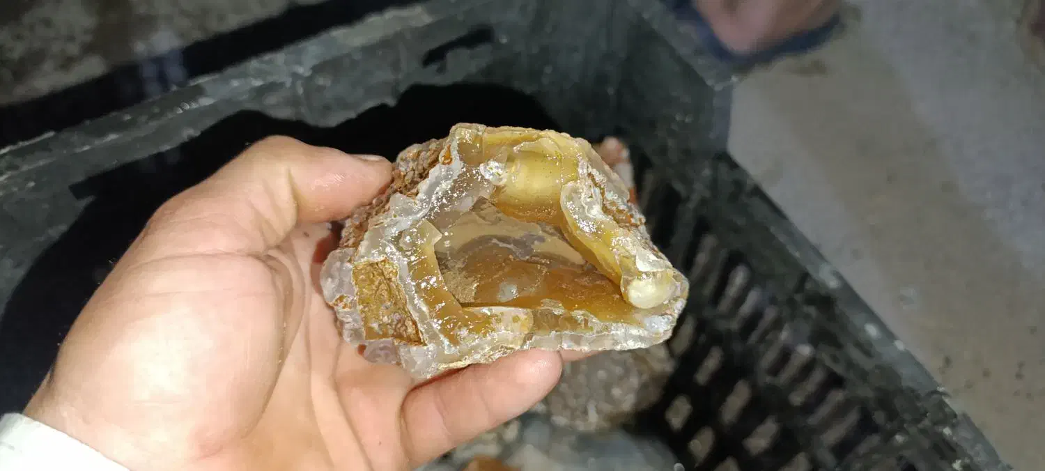 کلکسیونی|کلکسیون اشیاء عتیقه|کرمان, |دیوار