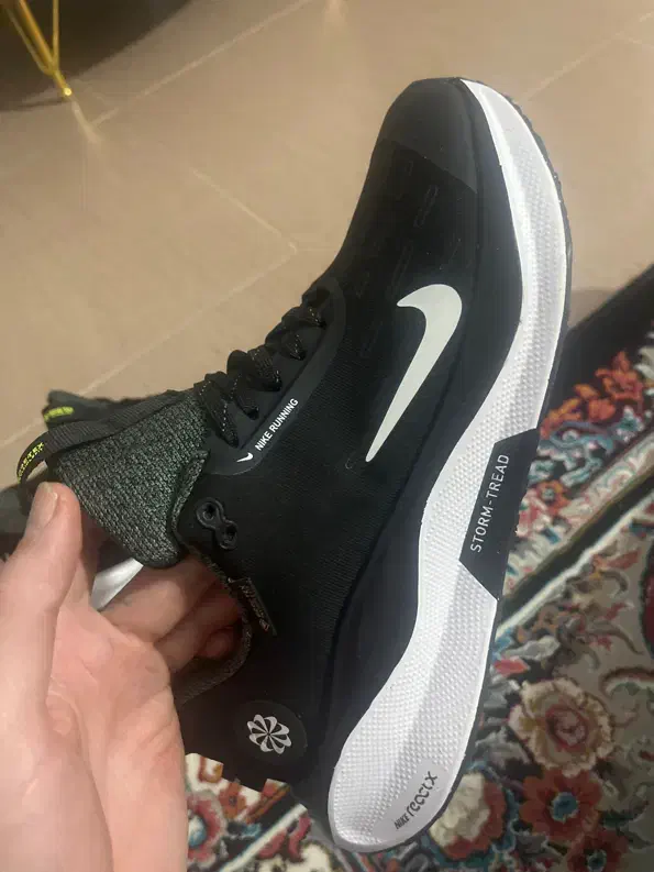 کفش خارجی|کیف، کفش، کمربند|باغستان, |دیوار