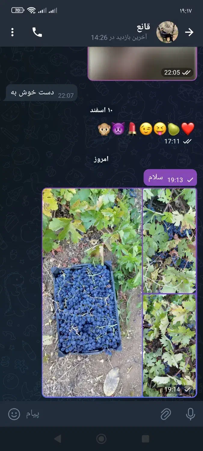 انگور دیمی|خوردنی و آشامیدنی|تهران, ترمینال غرب|دیوار
