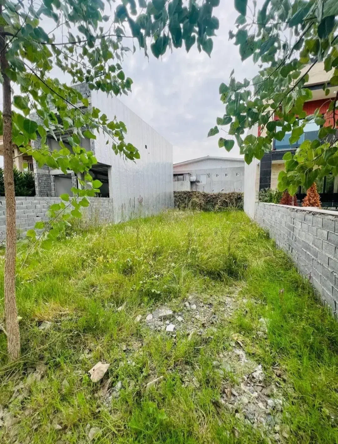 زمین سنددار/جنگلی دور دیوار شهرکی|فروش زمین و ملک کلنگی|چمستان, |دیوار