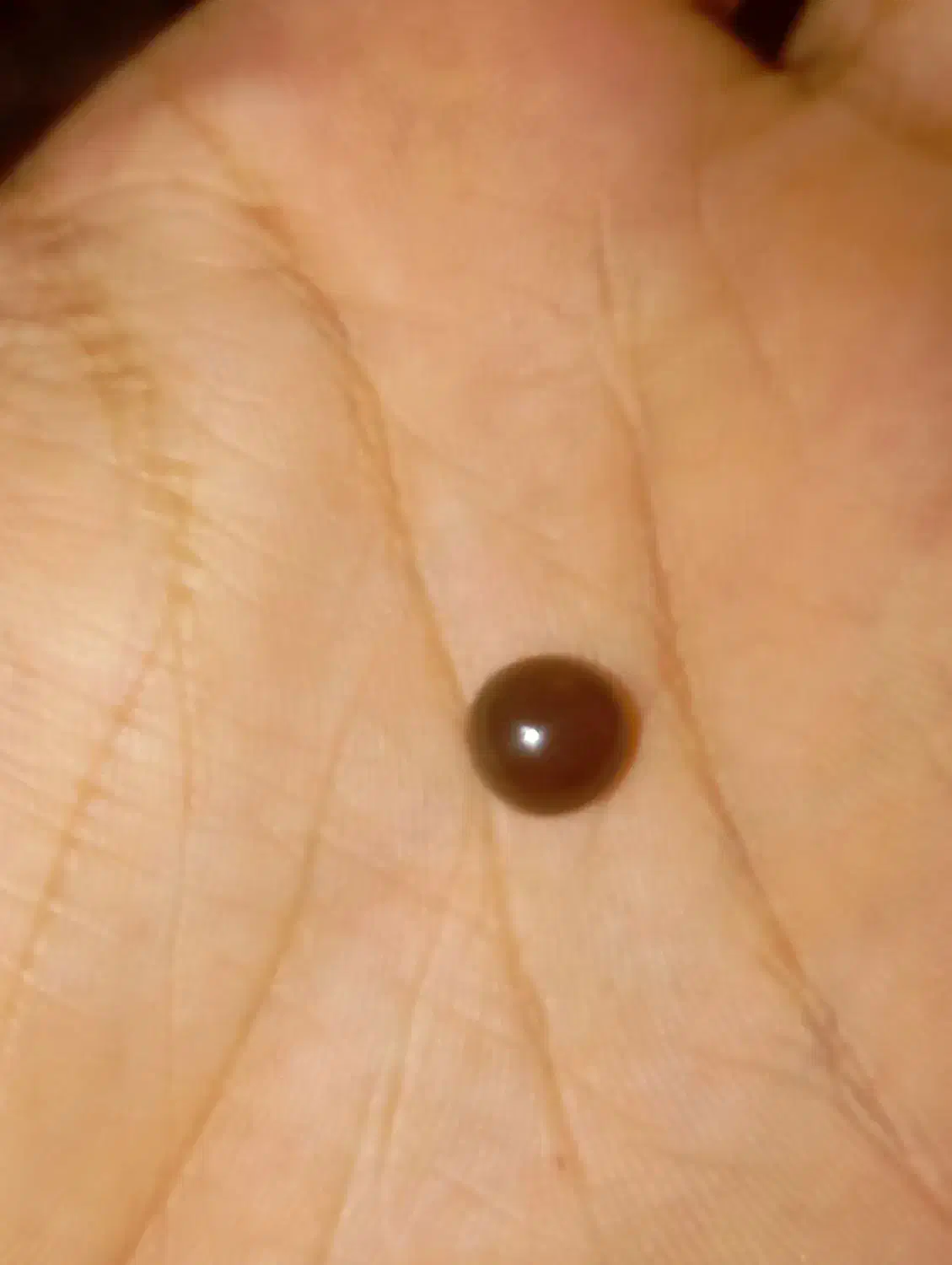 عقیق خرمایی|جواهرات|قزوین, |دیوار