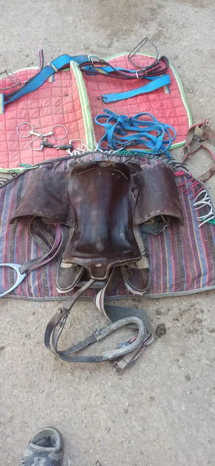 زین اسب سواری.کله گیر.لقام یادهنی.زین بهاره.عرقگیر|اسب و تجهیزات اسب‌سواری|صحنه, |دیوار