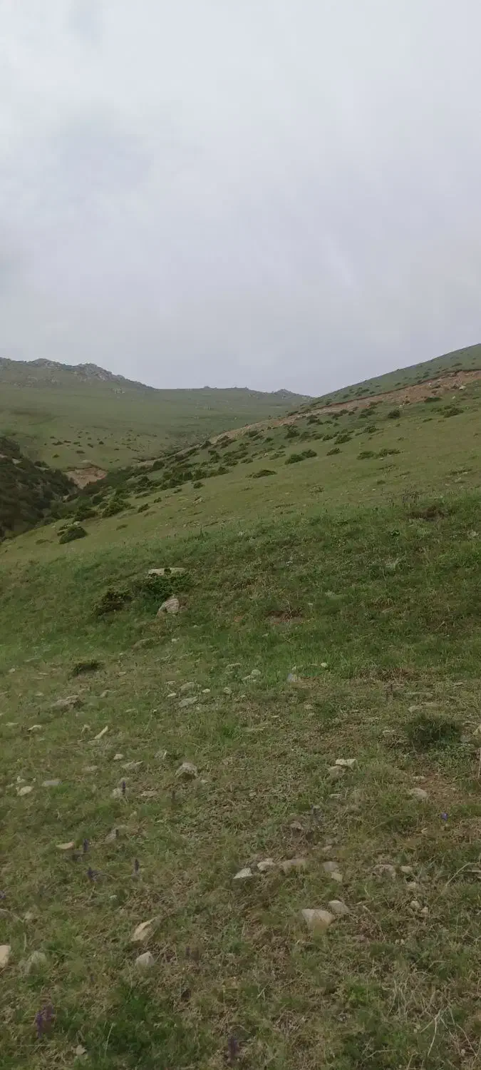 مسافرت|فعالیت داوطلبانه|اهر, |دیوار