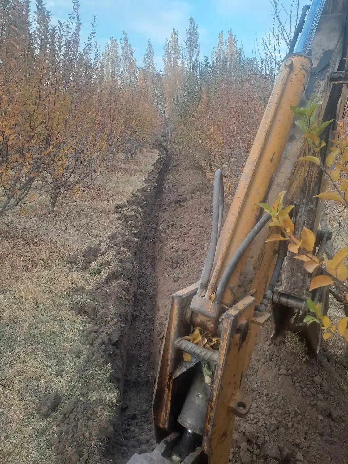 بیل بگهو|خودرو سنگین|ارومیه, |دیوار