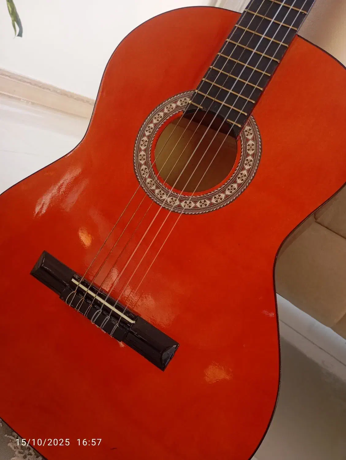 گیتار کاملا نو بدون استفاده|گیتار، بیس، امپلیفایر|فارسان, |دیوار