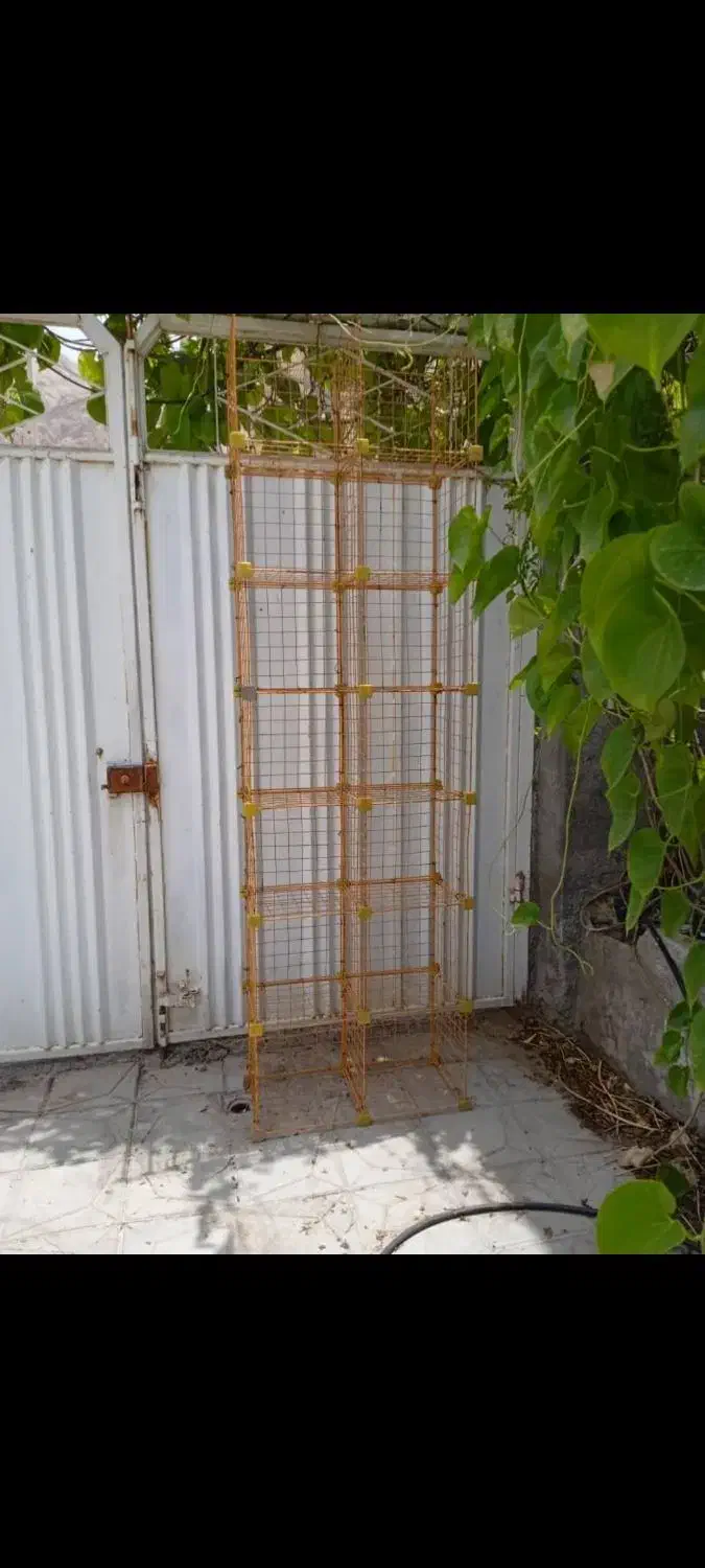 قفسه مشبک در حد نو|کتابخانه، شلف، قفسههای دیواری|داراب, |دیوار