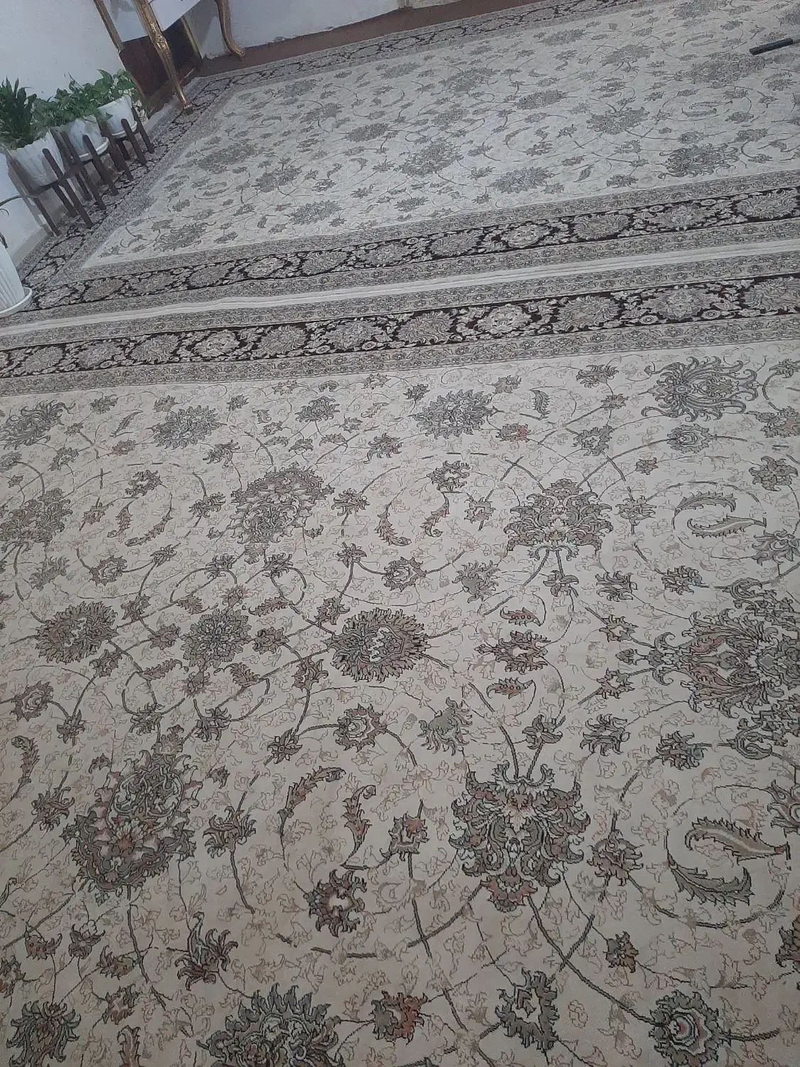 فرش 12متری جهت معاوضه|فرش|گنبد کاووس, |دیوار