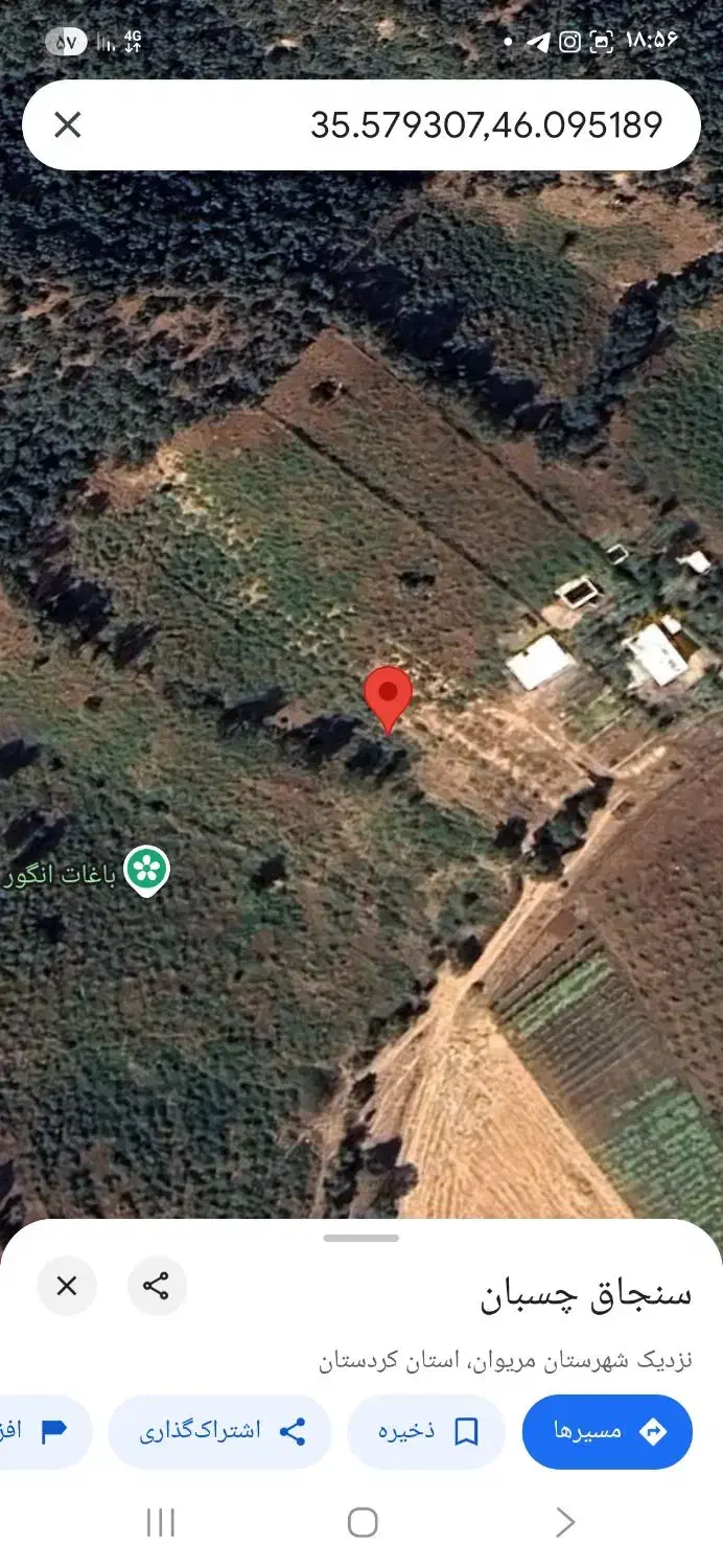 باغ انگور|فروش زمین و ملک کلنگی|خاو و میرآباد, |دیوار