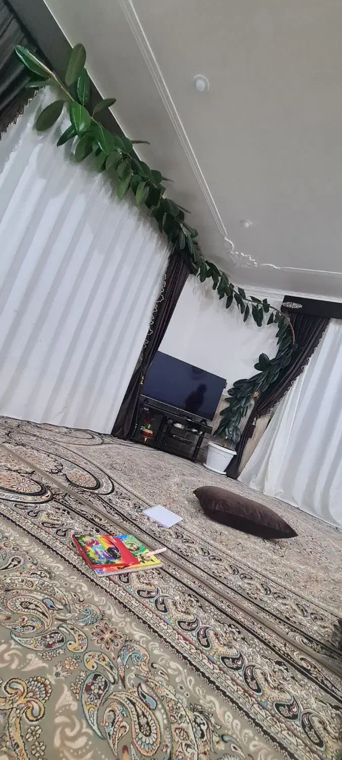 گل گوه فیل|گل و گیاه طبیعی|بانه, |دیوار