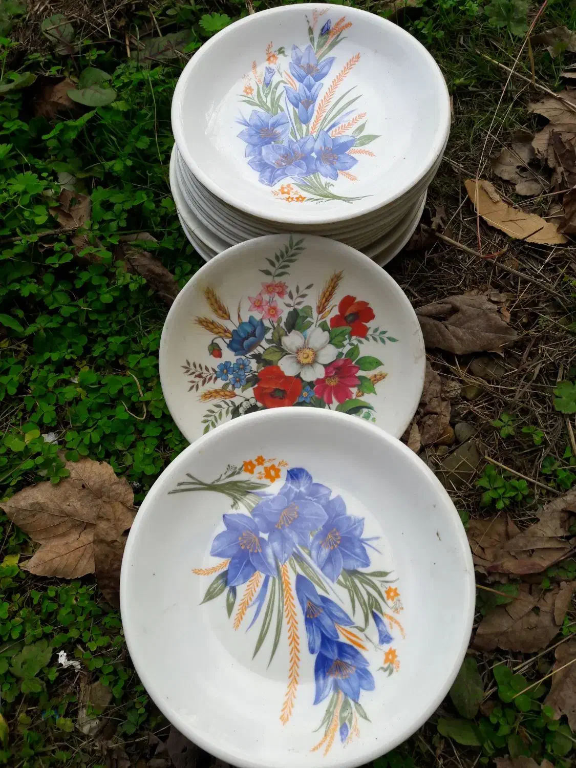 ۳۰عدد بشقاب ۴۰ عدد کاسه خورشت خوری|ظروف سرو و پذیرایی|ماکلوان, |دیوار