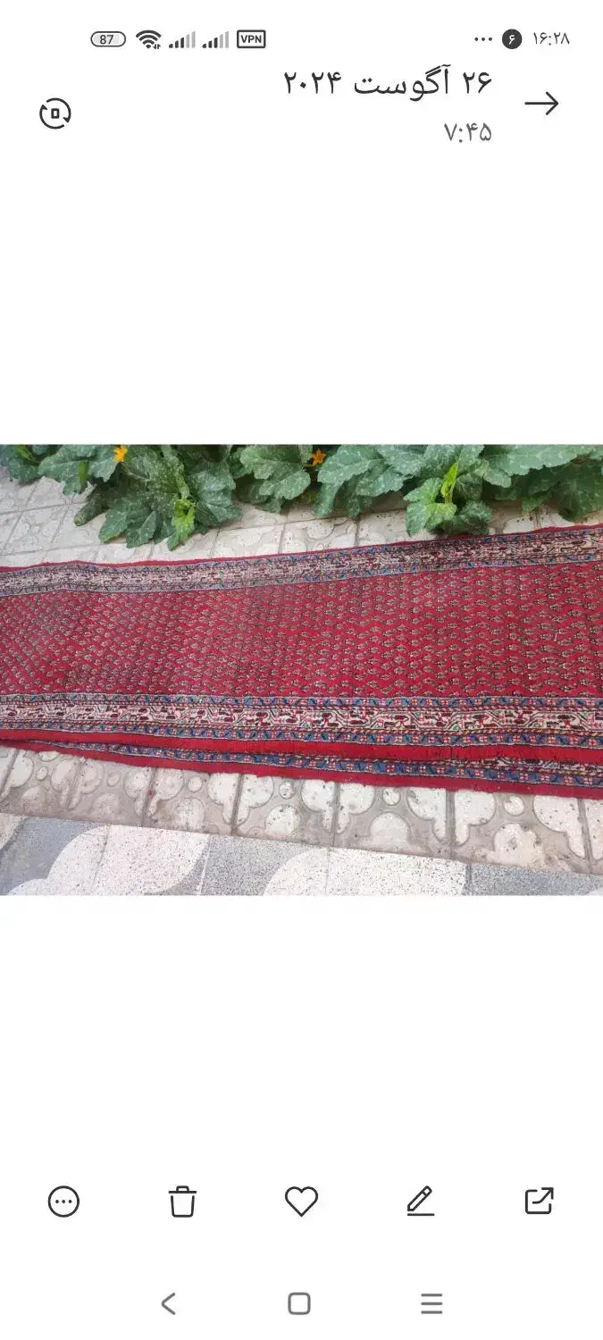 فرش وکناره فرش دستبافت|فرش|شیراز, کوزه گری|دیوار