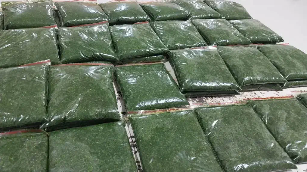 فروش سبزی قورمه سبزی|خوردنی و آشامیدنی|رومشکان, |دیوار