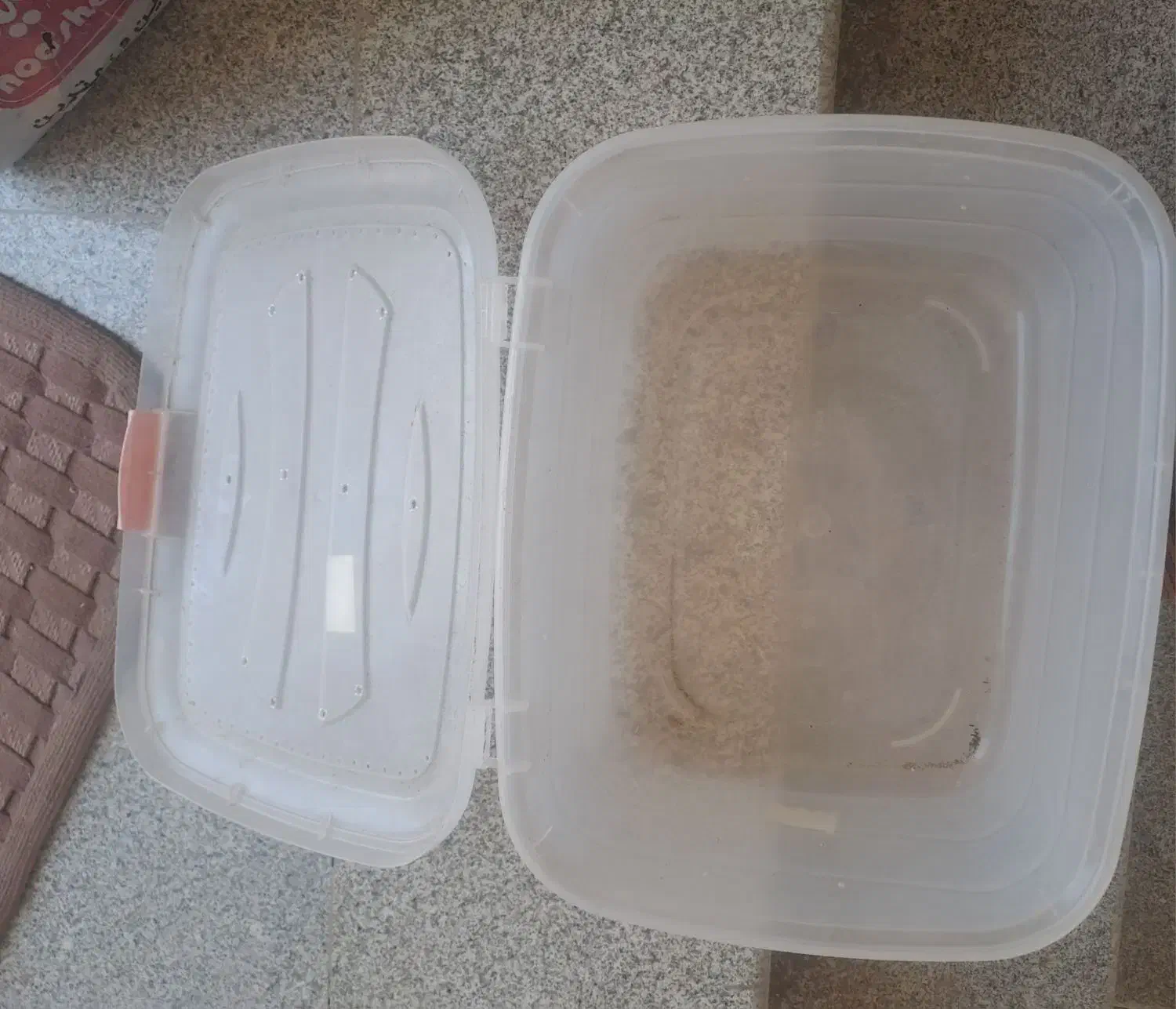 باکس حلزون یا قارچ|لوازم جانبی حیوانات|اصفهان, بوستان ناژوان|دیوار