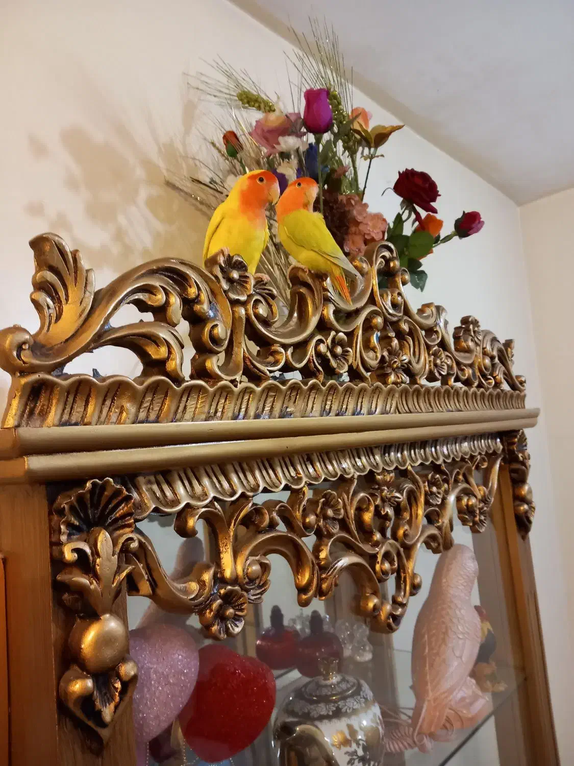 پرنده|پرنده|تبریز, |دیوار