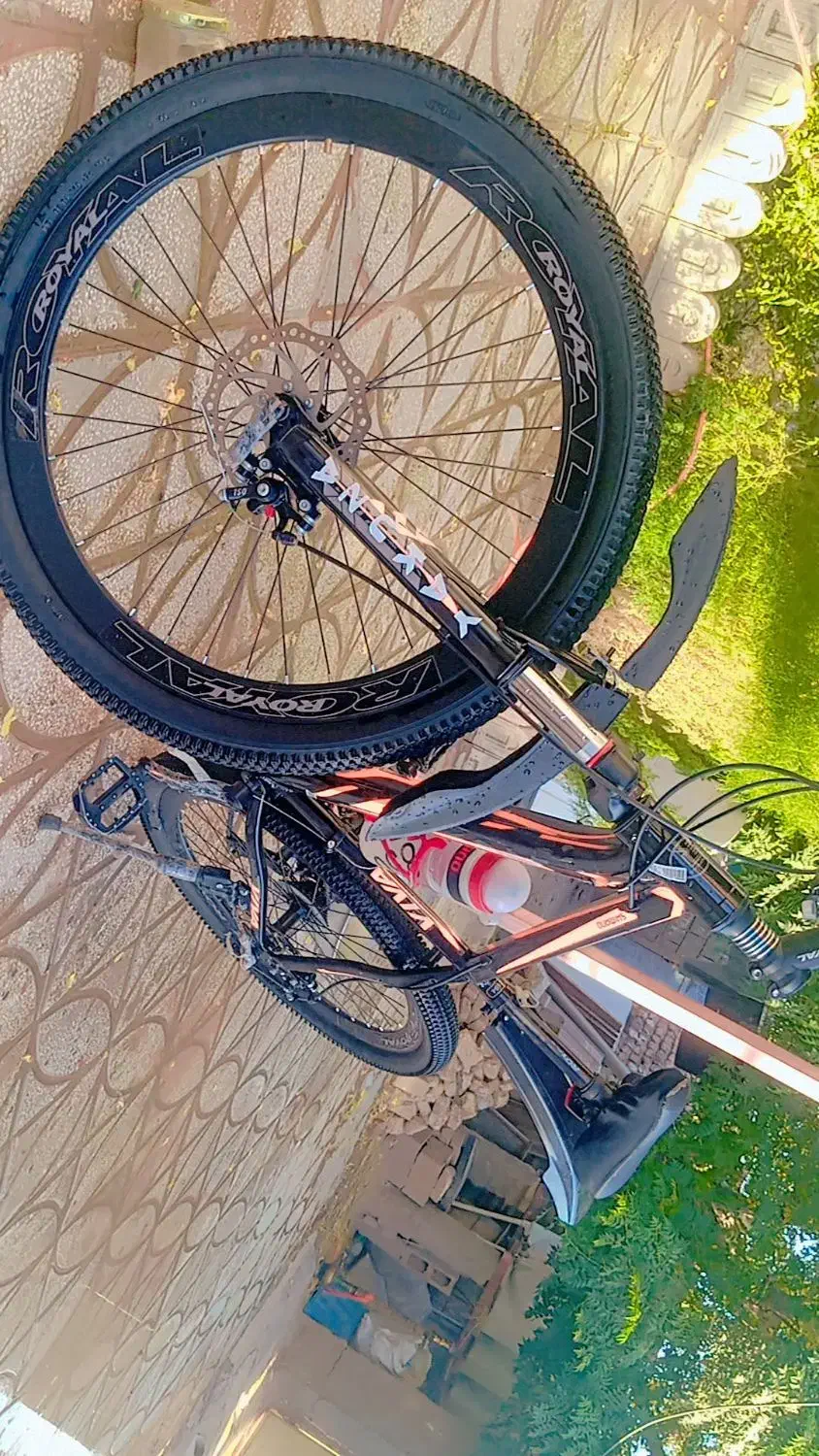 دوچرخه|دوچرخه، اسکیت، اسکوتر|قاسم‌آباد (خواف), |دیوار