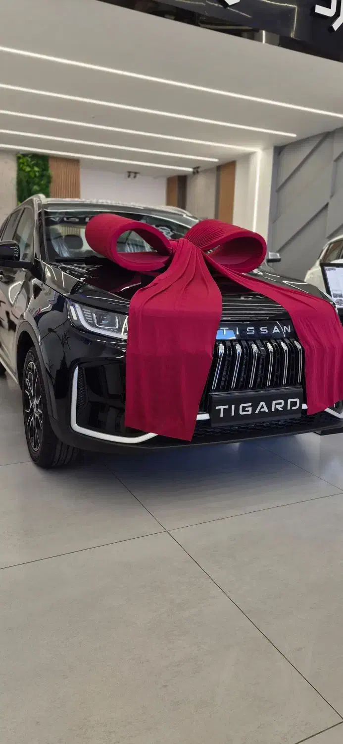 تیگارد تیسان s-05|خودرو سواری و وانت|تهران, تهرانپارس شرقی|دیوار