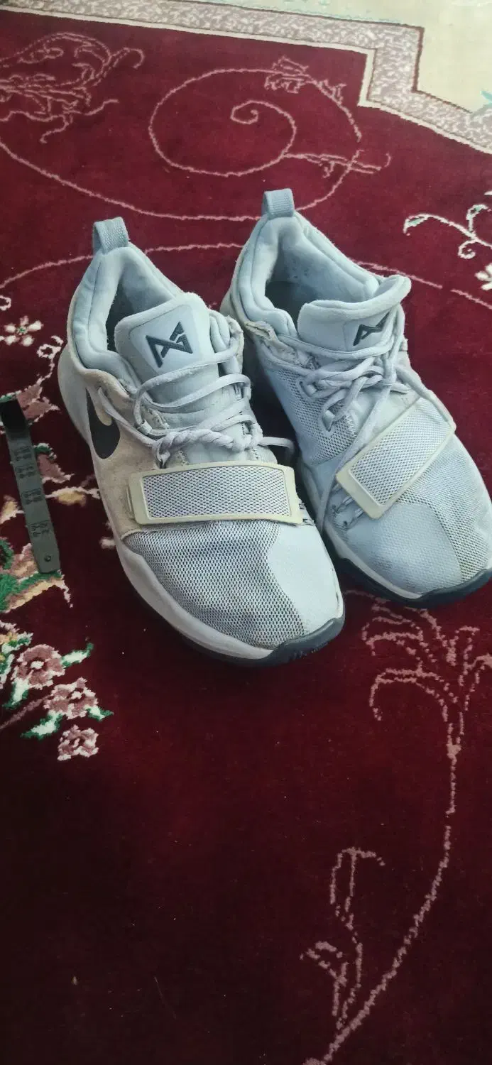 کفش|کیف، کفش، کمربند|ایوان, |دیوار