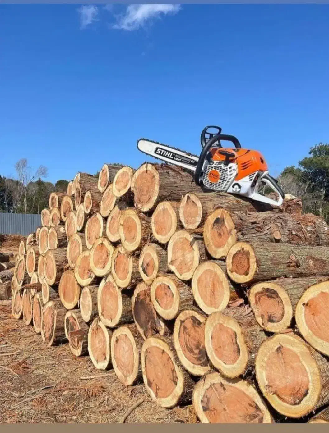 خرید انواع چوپ|خدمات باغبانی و درختکاری|نیشابور, سرآب کوشک|دیوار