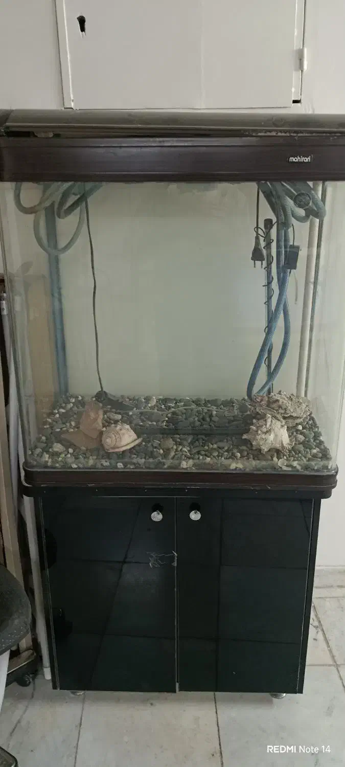 اکواریوم ماهیران شیشه خم|ماهی|اصفهان, کوی شهید کشوری|دیوار