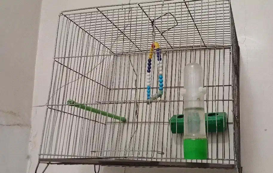 قفس پرنده|لوازم جانبی حیوانات|چهاردانگه (تهران), |دیوار