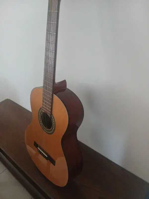 گیتار best fun|گیتار، بیس، امپلیفایر|تهران, گلستان (شهرک راه آهن)|دیوار