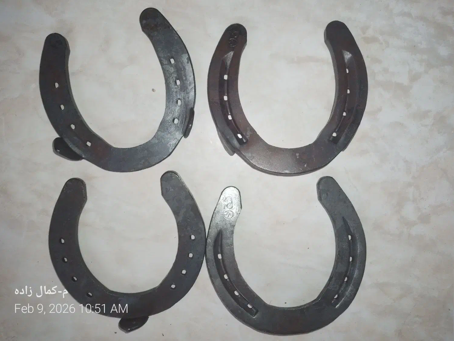 نعل اسب|اسب و تجهیزات اسب‌سواری|کرج, جهان‌شهر|دیوار