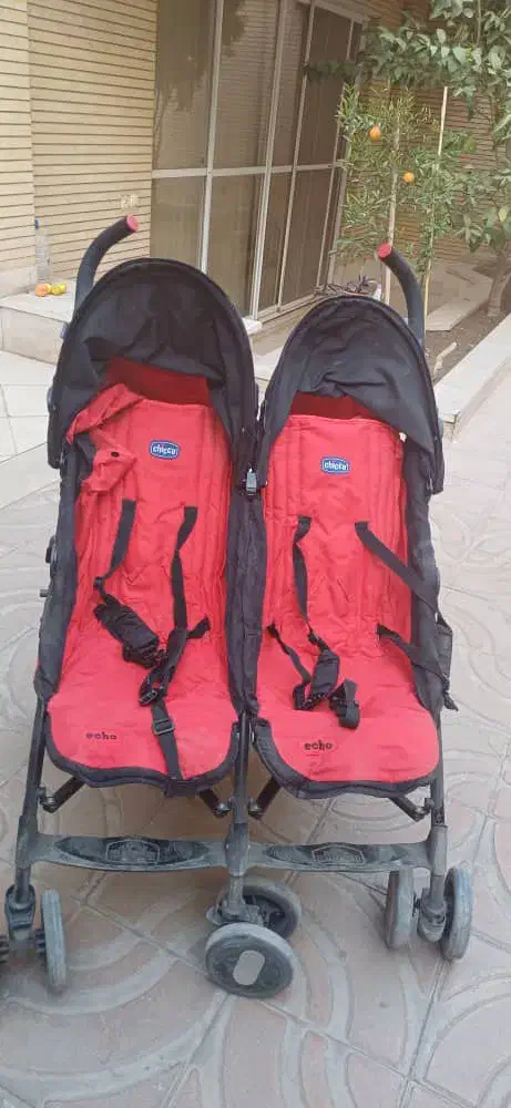 کالسکه دوقلو|کالسکه و لوازم جانبی|اصفهان, باغ دریاچه|دیوار