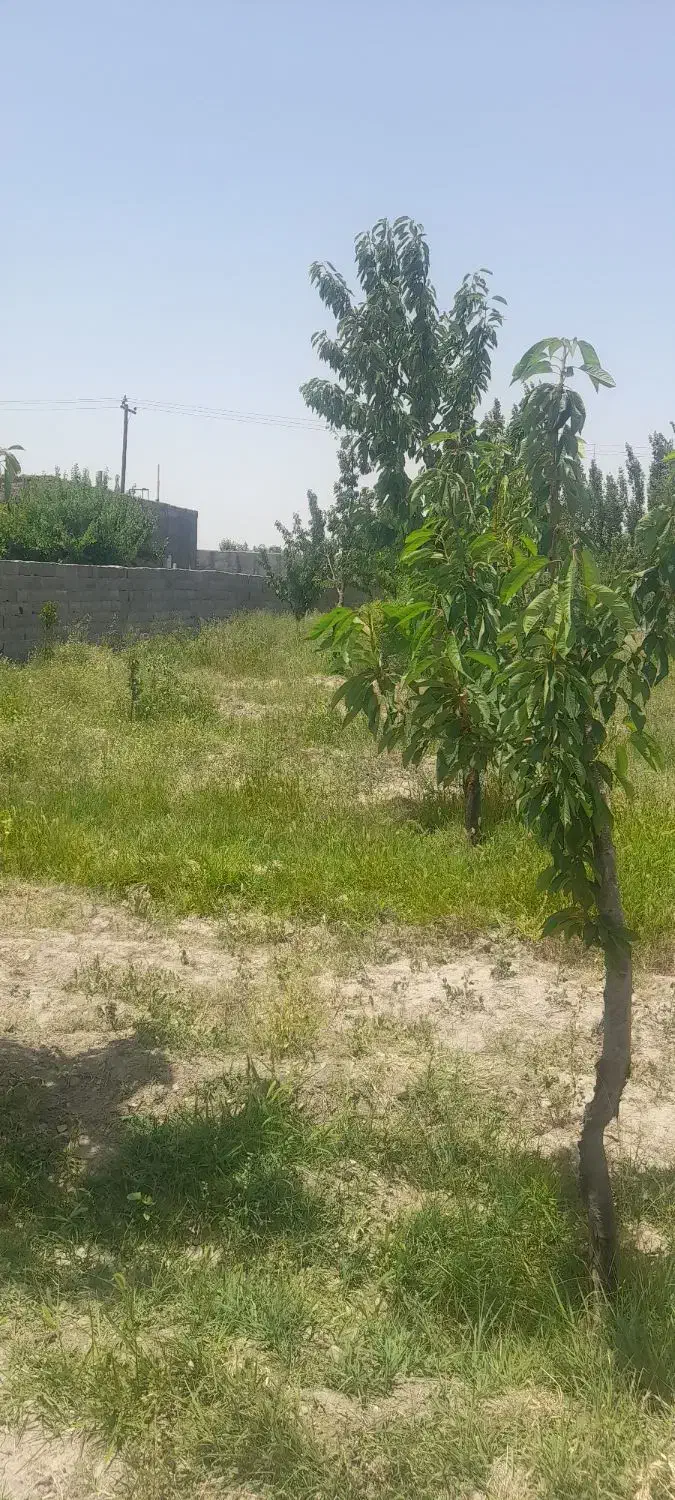 باغ|فروش خانه و ویلا|گلبهار, نوبهار|دیوار
